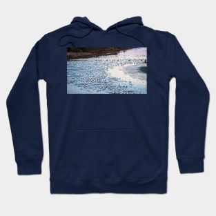 Pelicans In the Morning Light of the Sun and Moon Hoodie